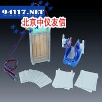 DYCZ-24EN型  双垂直电泳仪(槽)(中号)